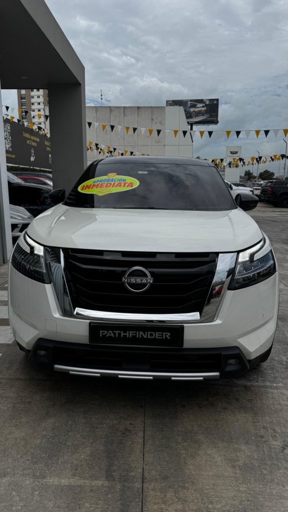 Nissan Pathfinder foto 2